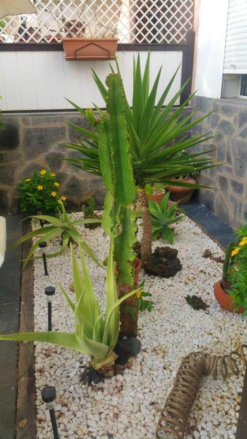 Elegant Villa In Corralejo Exteriér fotografie